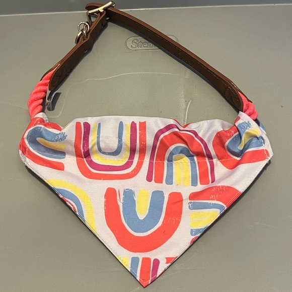 Pet collar and bandanna. - Picture 1 of 3